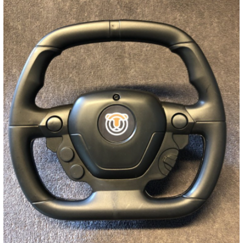 Elektrische kinder Drift kart 24V Wit