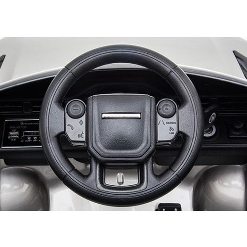 Range Rover Evoque 12V Kinderauto Roze