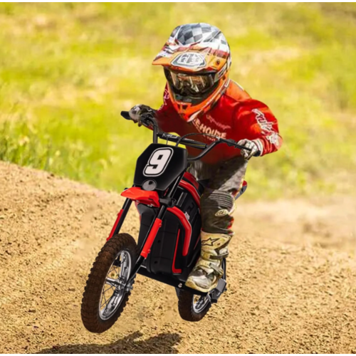 Elektrische kindermotor Dirtbike Hurricane 24V 350W Rood