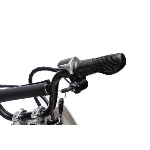 Elektrische kindermotor Dirtbike Cross Motor 36V 500W Groen