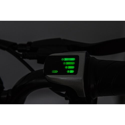 Elektrische kindermotor Dirtbike Cross Motor 36V 500W Groen