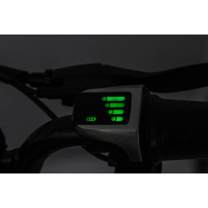 Elektrische kindermotor Dirtbike Cross Motor 36V 500W Groen