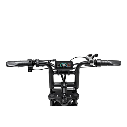 QMwheel V20 Limited - zwart