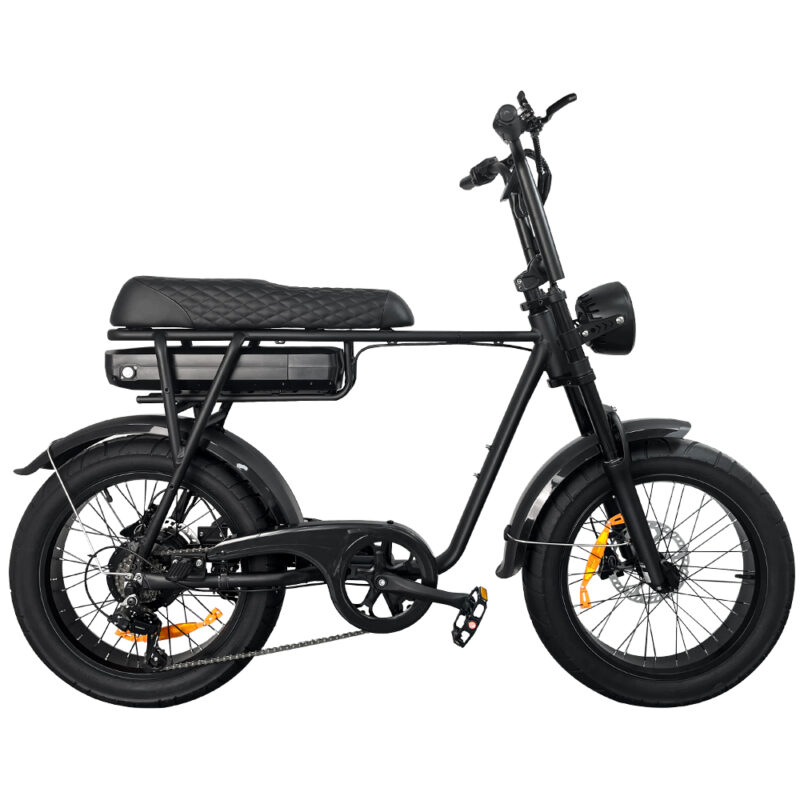 EB2 Black Diamond